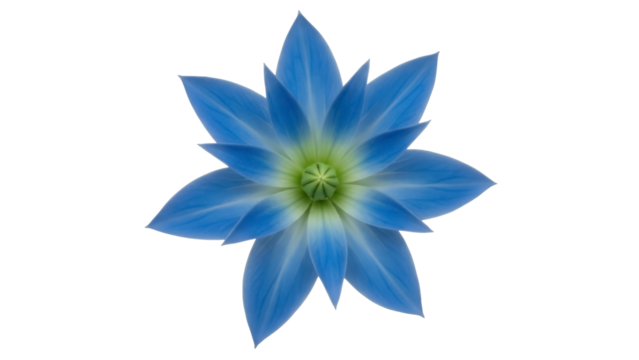 Single Blue Flower Blossom on a Transparent PNG Image - Powered by Adobe