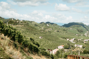 Paesaggio vigneti italiani