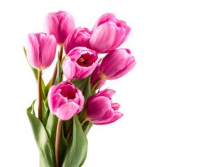 Vibrant bouquet of fresh pink tulips with green leaves and stems is beautifully arranged in a studio setting with dramatic lighting creating an elegant and romantic mood