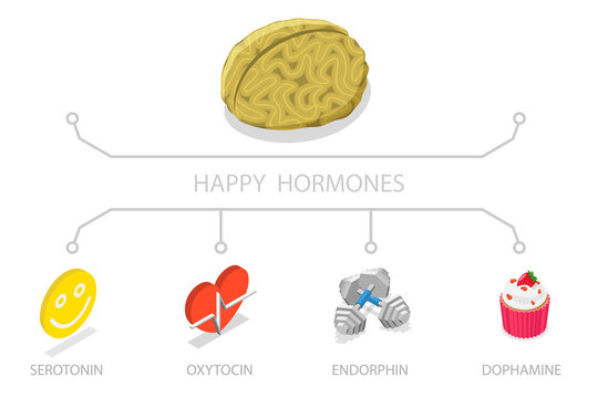 3D Isometric Flat  Illustration of Happy Hormones, Brain Chemicals