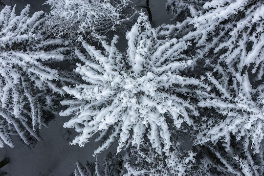 Aerial view of snow-laden trees creating a mesmerizing winter wonderland pattern from above, Stainz, Styria, Austria.