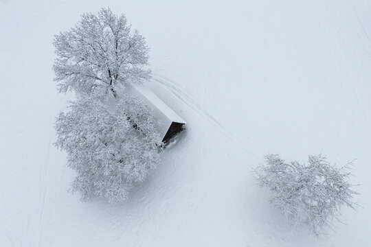 Aerial view of snow-laden trees casting long shadows on a pristine white field, a stark contrast of light and dark, Stainz, Styria, Austria.
