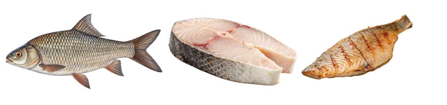 Rohu Fish from Raw to Cooked Steak Isolated on Black Background