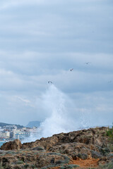 Seagulls Flying Over Crashing Waves on Rocky Coastline