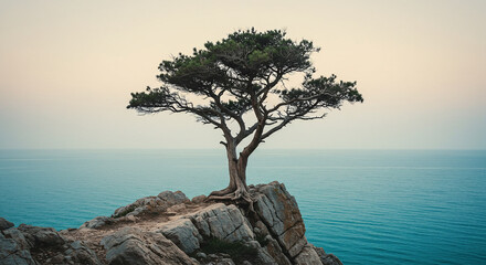 Solitary tree on coastal cliff overlooking ocean