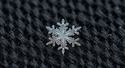 Single snowflake on dark textured background
