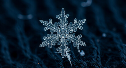 Single snowflake on dark background winter close up