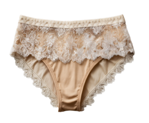 Elegant beige high-waisted women's lace panties feature a beautiful floral pattern and delicate scalloped trim on a classic and comfortable female undergarment
