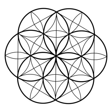 Seed life sacred geometry