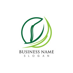 vegan leaf vector logo and symbol