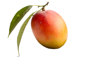 A vibrant, ripe mango with fresh green leaves, captured in stunning detail against a clean white background, perfect for culinary and design projects