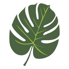 Obraz premium Tropical palm leaf illustration