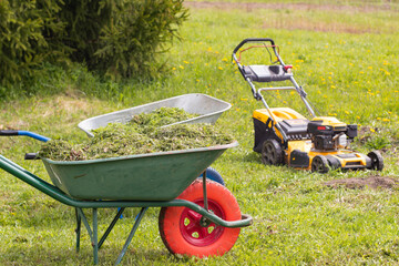 A green wheelbarrow filled with grass clippings sits on a lawn. A yellow lawnmower is parked nearby. The scene represents gardening and lawn care activities.