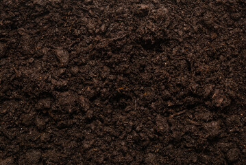 Fototapeta premium Black land for plant background.