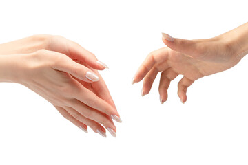 Woman hands  isolated on a white background.