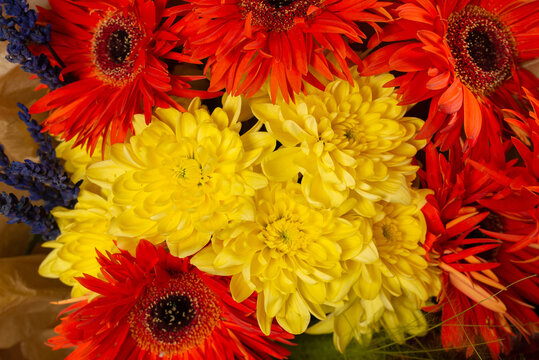 Autumn bouquet with orange and yallow flowers.