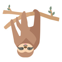 Obraz premium Sloth branch tree leaf flat