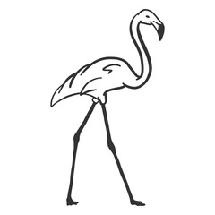 Fototapeta premium Flamingo beak neck leg doodle bird