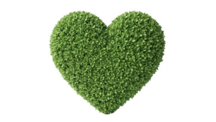 Leafy Green Heart Shape Isolated on Transparent PNG Image