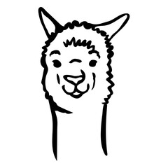 Obraz premium Llama face stroke