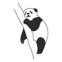 Fototapeta premium Sleeping panda vector