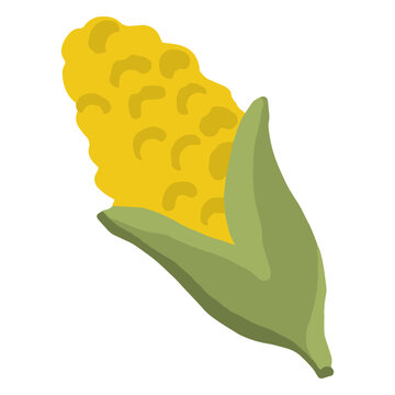 Hand drawn glossy corncob
