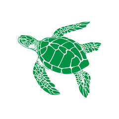 Fototapeta premium A vibrant green sea turtle gracefully swimming in clear blue waters, surrounded by coral reefs