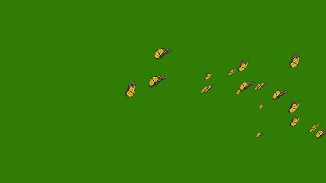 Flapping Butterflies Flying isolated Green Background. seassonal signs