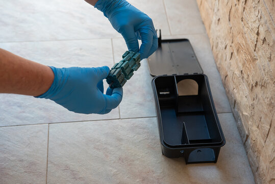 Close up of pest control technician placing blue poison bait in a dark plastic rodent tunnel