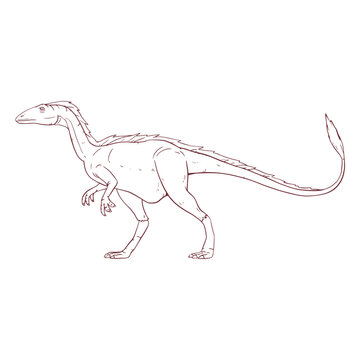Allosaurus dinosaur drawn