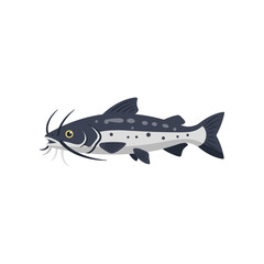 Obraz premium A detailed illustration of a catfish swimming gracefully in a serene underwater environment