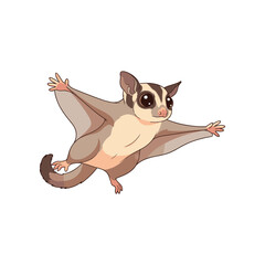 Obraz premium A playful sugar glider gliding through the air with outstretched limbs in a whimsical setting