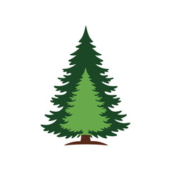 A vibrant green conifer tree standing tall with a brown trunk, set against a plain white background