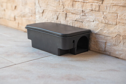 Black plastic rodent bait station for pest control