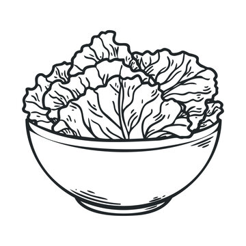 salad clipart simple