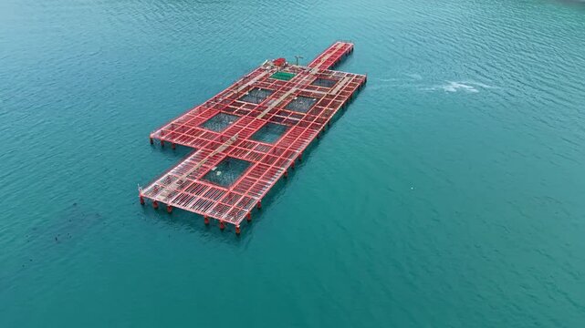 A mussel farm is present in the sea with several rows of structures used for growing shellfish. The water is clear and the sun shines on the setup.