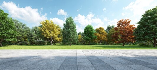 The Trees Lining a Sunlit Park Plaza with Paved Foreground and Blue Sky