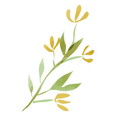 Obraz premium Watercolor leaves branch