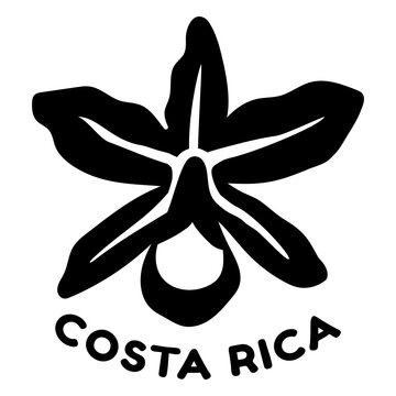 Guaria morada costa rica flower stroke