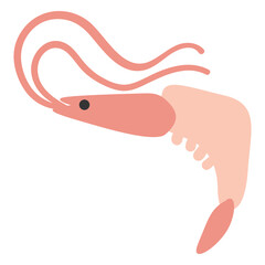 Obraz premium Shrimp sea animal