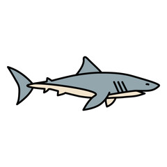 Obraz premium Shark animal color stroke