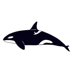 Fototapeta premium Swimming killer whale filled-stroke