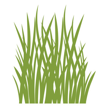 Tall grass flat