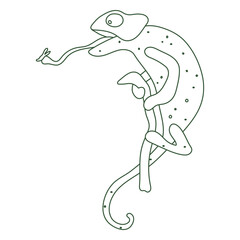 Obraz premium Chameleon animal eating stroke