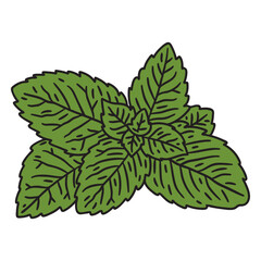 Mint leaves color stroke © Vexels