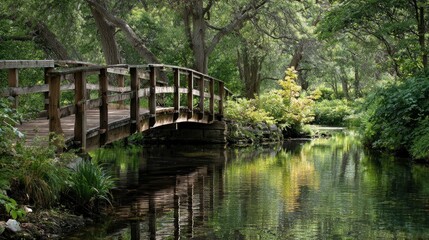 bridge over the river