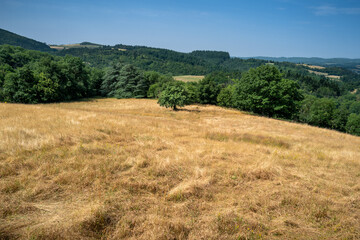 campagne d'&eacute;t&eacute;