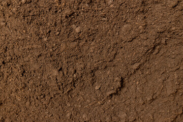 fertile soil mixed with peat and humus for growing seedlings and various plants, part of the territory with fertile brown soil mixed with other useful elements to improve the harvest