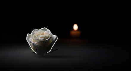 White rose and a lit candle on a dark black background for mourning and memory
