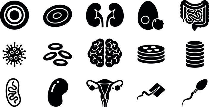 Simple black silhouette vector icons collection showing human cells organs and biological structures in flat minimal graphic design style
